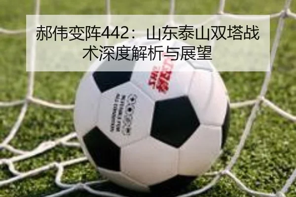 郝伟变阵442：山东泰山双塔战术深度解析与展望