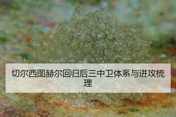 切尔西图赫尔回归后三中卫体系与进攻梳理